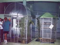 Enclosures with zoo animals 