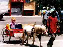 Gary´s Ponies and pony cart