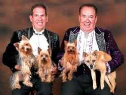 Terry and Gordon and their Yapping Yorkies