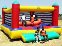 Obstacle Ball Jumping Castle