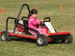Petrol Go Kart (Go Cart)